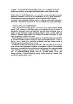 Referāts 'Itālijas Republika', 13.