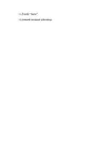 Referāts 'Itālijas Republika', 28.