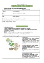 Konspekts 'Vielu transporta veidi organismos', 1.