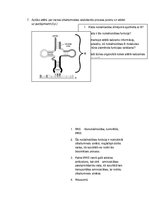 Konspekts 'Olbaltumvielu biosintēze', 4.