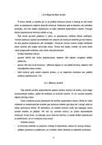 Diplomdarbs 'Pagasta sociāli ekonomiskās attīstības stratēģija', 13.