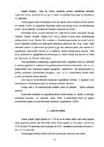 Diplomdarbs 'Pagasta sociāli ekonomiskās attīstības stratēģija', 20.