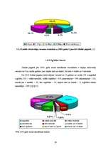 Diplomdarbs 'Pagasta sociāli ekonomiskās attīstības stratēģija', 29.