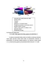 Diplomdarbs 'Pagasta sociāli ekonomiskās attīstības stratēģija', 32.