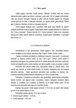 Diplomdarbs 'Pagasta sociāli ekonomiskās attīstības stratēģija', 38.