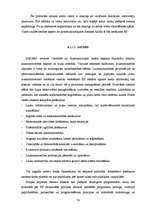 Diplomdarbs 'Pagasta sociāli ekonomiskās attīstības stratēģija', 76.