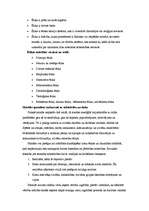 Konspekts 'Komunikācijas vēsture', 2.