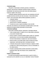 Konspekts 'Komunikācijas vēsture', 8.