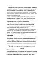 Konspekts 'Komunikācijas vēsture', 13.