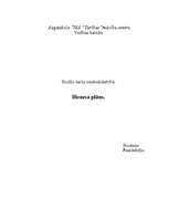 Biznesa plāns 'SIA ”Nadīna” veselības un skaistumkopšanas salons', 1.