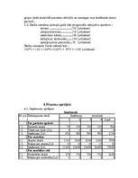 Biznesa plāns 'SIA ”Nadīna” veselības un skaistumkopšanas salons', 10.