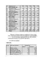 Biznesa plāns 'SIA ”Nadīna” veselības un skaistumkopšanas salons', 11.