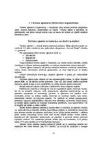 Diplomdarbs 'Tūrisma firmas SIA "Absolūta komforta studija" izveide. Jauna maršruta izveide 2', 10.