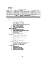 Diplomdarbs 'Tūrisma firmas SIA "Absolūta komforta studija" izveide. Jauna maršruta izveide 2', 45.