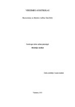 Referāts 'Konflikta situācijas analīze', 1.