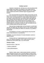 Referāts 'Konflikta situācijas analīze', 2.