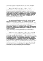 Referāts 'Konflikta situācijas analīze', 3.