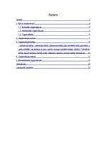 Referāts 'Organizācijas būtība un veidi', 2.