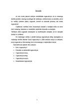 Referāts 'Organizācijas būtība un veidi', 3.