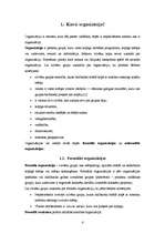Referāts 'Organizācijas būtība un veidi', 4.