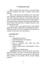 Referāts 'Organizācijas būtība un veidi', 9.