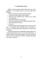 Referāts 'Organizācijas būtība un veidi', 12.