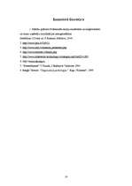 Referāts 'Organizācijas būtība un veidi', 16.