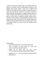 Referāts 'Laicīga valsts', 13.