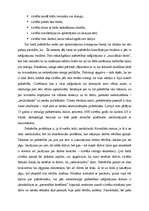 Referāts 'Pašnāvība', 6.