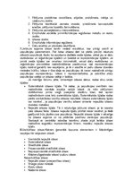 Konspekts 'Atbildes uz sociālo pētījumu eksāmenu', 6.