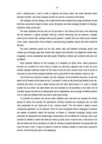 Diplomdarbs 'Projekts: optikas salona izveidošana', 10.