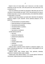 Diplomdarbs 'Projekts: optikas salona izveidošana', 16.