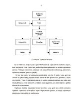 Diplomdarbs 'Projekts: optikas salona izveidošana', 17.