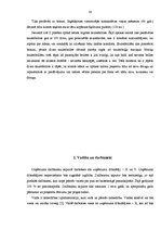 Diplomdarbs 'Projekts: optikas salona izveidošana', 20.