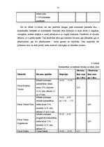 Diplomdarbs 'Projekts: optikas salona izveidošana', 33.