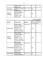 Diplomdarbs 'Projekts: optikas salona izveidošana', 35.