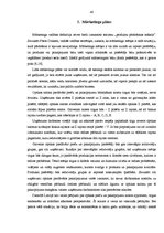 Diplomdarbs 'Projekts: optikas salona izveidošana', 40.