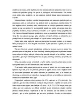 Diplomdarbs 'Projekts: optikas salona izveidošana', 42.