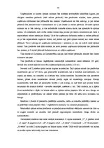 Diplomdarbs 'Projekts: optikas salona izveidošana', 44.