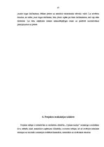 Diplomdarbs 'Projekts: optikas salona izveidošana', 47.