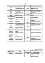 Diplomdarbs 'Projekts: optikas salona izveidošana', 76.