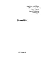 Biznesa plāns 'Viesu mājas biznesa plāns ', 1.