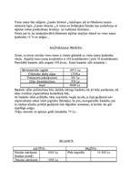 Biznesa plāns 'Viesu mājas biznesa plāns ', 9.