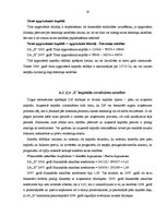 Prakses atskaite 'Finanšu analīze uzņēmumā "X"', 19.