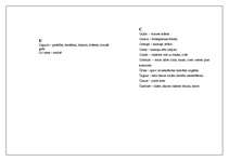 Konspekts 'Latviešu vecvārdu vārdnīca', 4.