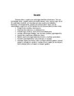 Biznesa plāns 'SIA "Ziedu leja"', 3.