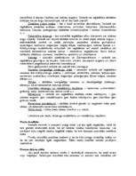 Biznesa plāns 'SIA "Ziedu leja"', 7.