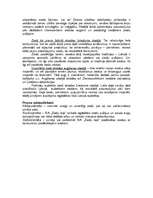 Biznesa plāns 'SIA "Ziedu leja"', 8.