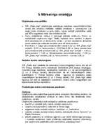 Biznesa plāns 'SIA "Ziedu leja"', 13.