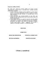 Biznesa plāns 'SIA "Ziedu leja"', 16.